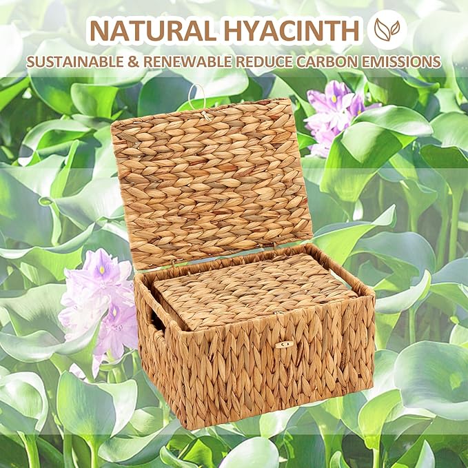 Wicker Basket with Lid, Water Hyacinth Storage Baskets for Shelves, Large & Small Storage Basket with Lid and Built-in Handles, Hand Woven Hyacinth Baskets 2 Pack