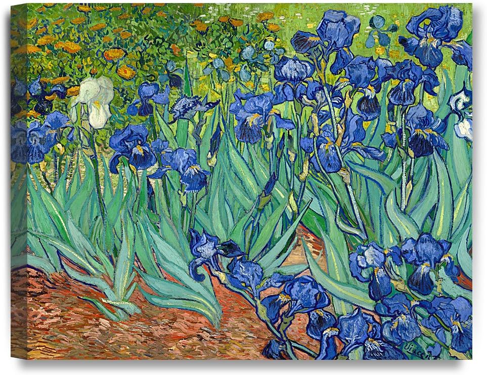 DECORARTS - Irises in the Garden, Vincent Van Gogh Art Reproduction. Giclee Canvas Prints Wall Art for Home Decor 20x16