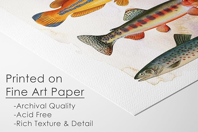 Vintage Fish Art Print - Unframed - 11 x 14 | Vintage Dcor | Farmhouse Dcor | Bathroom Dcor Wall Art | Kitchen Wall Dcor | Kitchen Wall Art