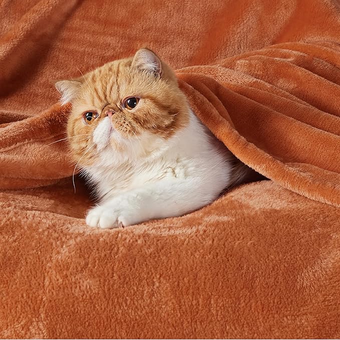 Bedsure GentleSoft Fleece Blankets Queen Size Mango - 280GSM Soft Lightweight Plush Cozy Blanket for Bed, Sofa, Couch, Travel, Camping