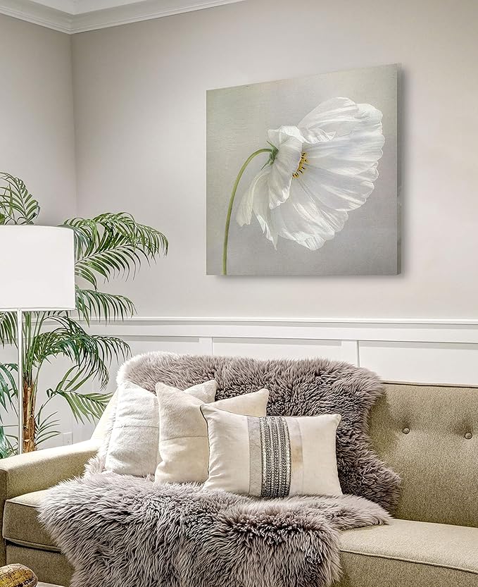 Wexford Home Daisy Detail III Gallery Wrapped Canvas Wall Art, 40x40