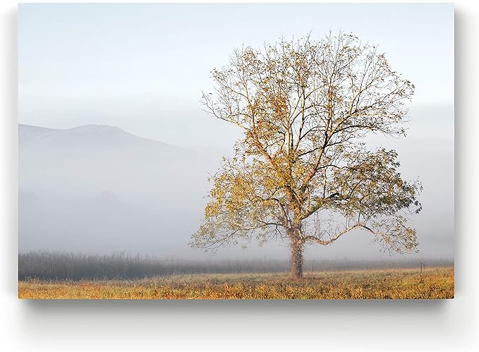 Renditions Gallery Nature Wall Art Pictures & Prints Standalone Tree with Faded Mountain Canvas Hanging Artwork for Bedroom Living Room Office Decorations - 32"X48" LT08