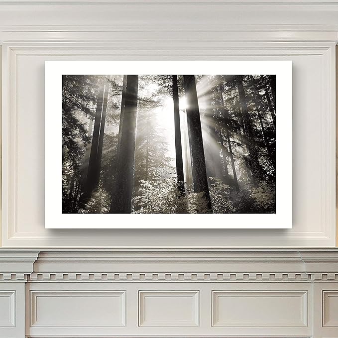 Renditions Gallery Canvas Nature Wall Art Landscape View of Morning Light coming through Forest Trees Modern Artwork for Living Room Kitchen Walls - 12"X18" LT08