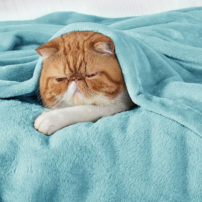 Bedsure GentleSoft Fleece Bed Blankets Queen Size River Blue - Soft Lightweight Plush Fuzzy Cozy Luxury Blanket Microfiber, 90x90 inches