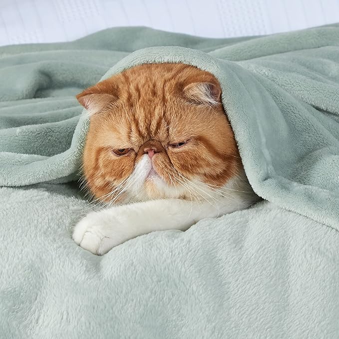 Bedsure GentleSoft Sage Green Fleece Blanket King Size - 280GSM Soft Lightweight Plush Cozy Blankets for Bed, Sofa, Couch, Travel, Camping