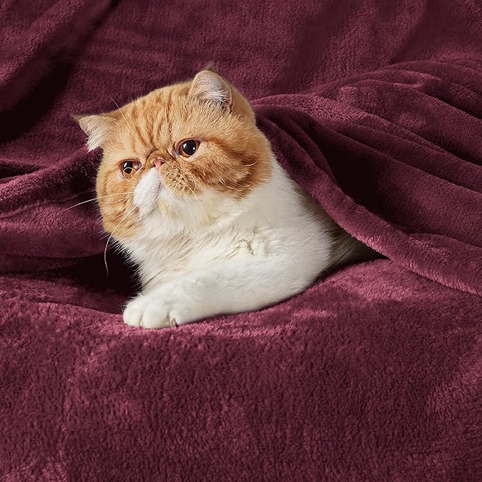 Bedsure GentleSoft Fleece Blankets Queen Size Red Burgundy - Bed Blanket Soft Lightweight Plush Fuzzy Cozy Luxury Microfiber, 90x90 inches