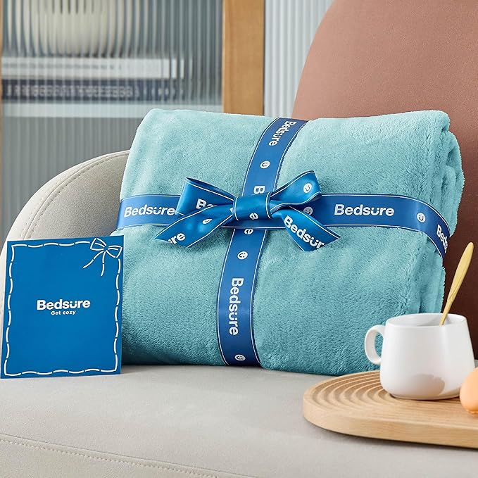 Bedsure GentleSoft Fleece Bed Blankets Queen Size River Blue - Soft Lightweight Plush Fuzzy Cozy Luxury Blanket Microfiber, 90x90 inches