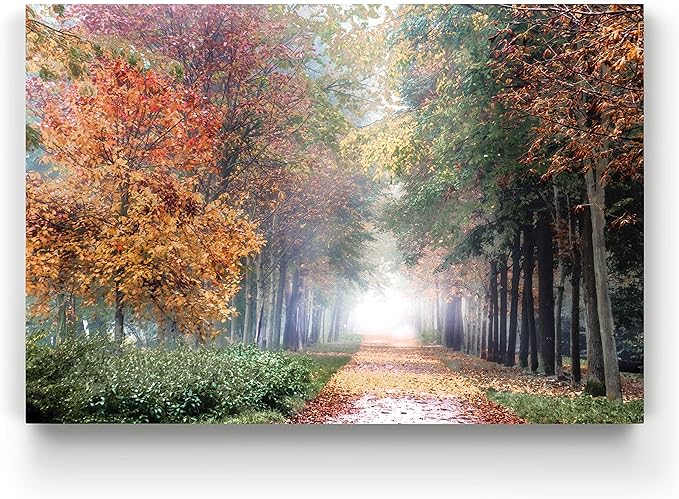 Renditions Gallery Home Wall Art Pictures Pathway through the Misty Autum Forest Canvas Hanging Prints for Living Room Office Decorations - 32"X48" LT08