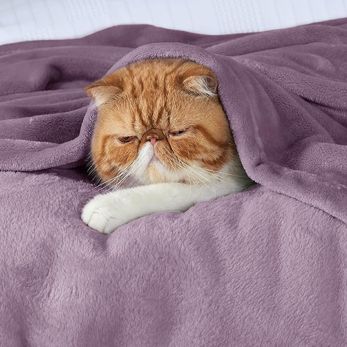 Bedsure GentleSoft Fleece King Size Blankets for Bed Fog Purple - Soft Lightweight Plush Cozy Fuzzy Luxury Microfiber, 108x90 inches