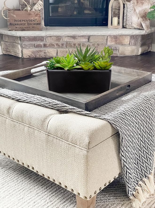 Artificial Succulents Plants in Ceramic Planter Assorted Faux Succulents in Pots Arrangement Fake Succulent Potted Plant for Home Office Desk Bathroom Shelf Living Room Indoor Outdoor Decor - White