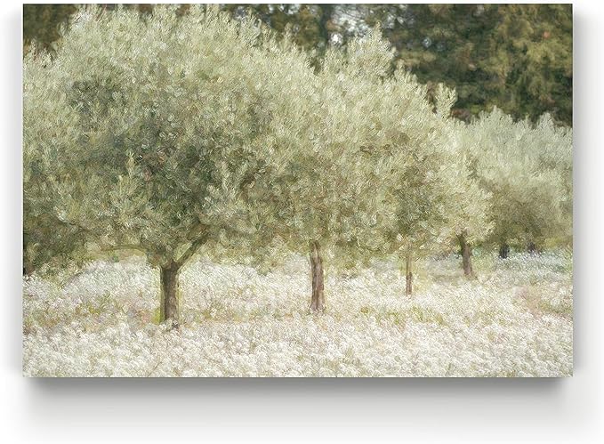 Renditions Gallery Canvas Wall Art Paintings & Prints Paintograph Olive Trees Abstracr Nature Artwork for Living Room Office Wall Decor - 12"X18" LT08