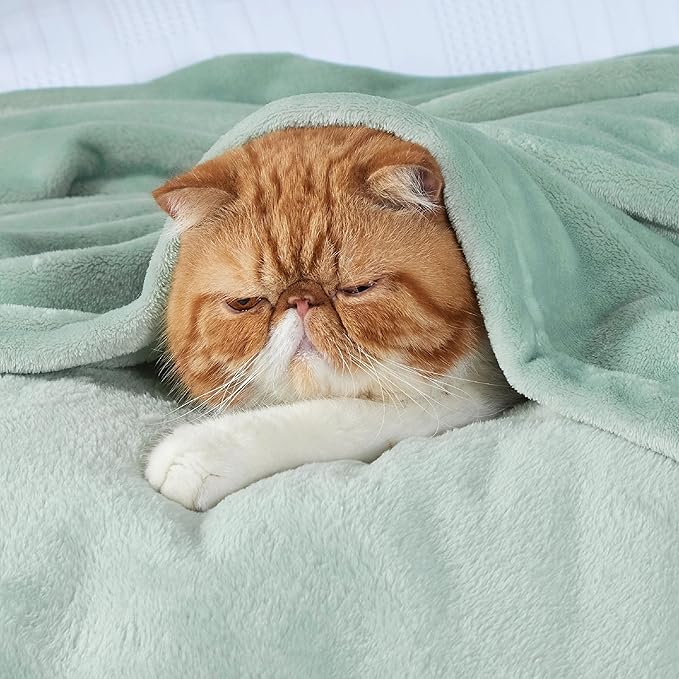 Bedsure GentleSoft Sage Green Fleece Throw Blanket - 300GSM Soft Lightweight Plush Cozy Blankets for Bed, Sofa, Couch, Travel, Camping