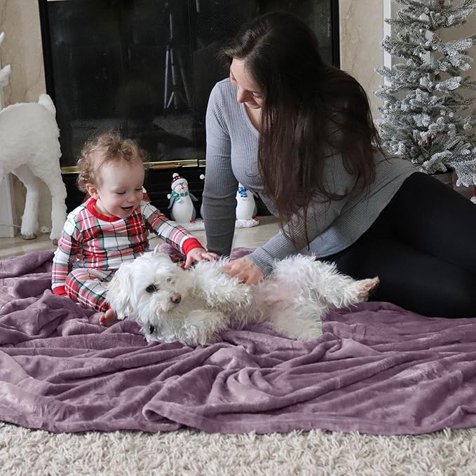 Bedsure GentleSoft Fleece Throw Blanket for Couch Fog Purple - Lightweight Plush Fuzzy Cozy Soft Blankets and Throws for Sofa, 50x60 inches