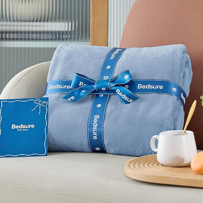 Bedsure GentleSoft Fleece Throw Blanket for Couch Light Blue - Lightweight Plush Fuzzy Cozy Soft Blankets and Throws for Sofa, 50x60 inches