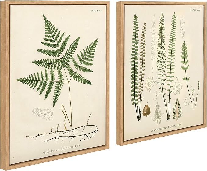 Kate and Laurel Sylvie Ferns 1 and Ferns 2 Set Framed Canvas Wall Art by Corinna Buchholz of Piddix, 2 Piece 18x24 Natural