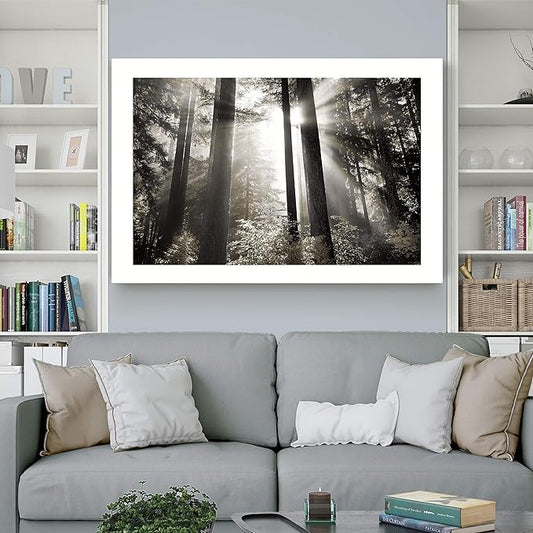Renditions Gallery Canvas Nature Wall Art Landscape View of Morning Light coming through Forest Trees Modern Artwork for Living Room Kitchen Walls - 18"X27" LT08