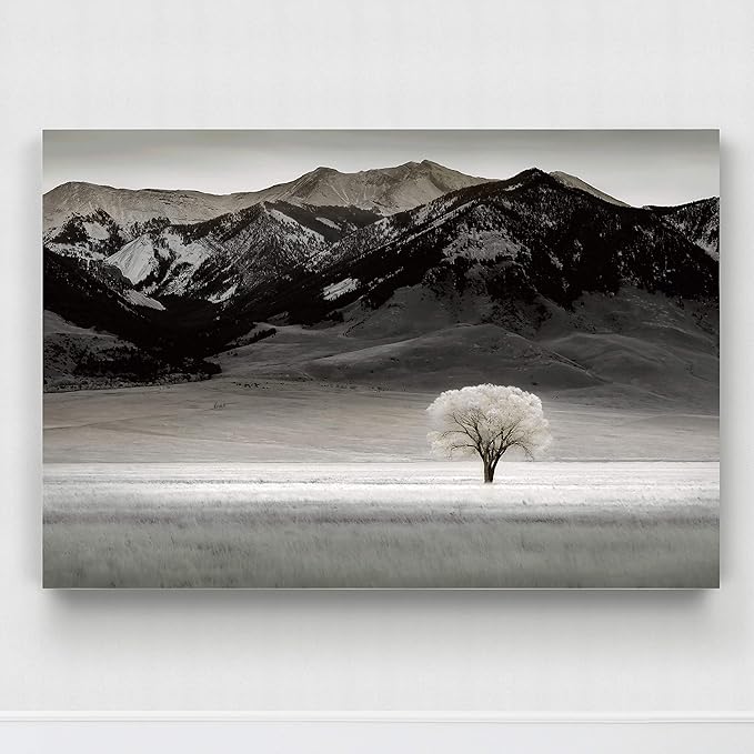 Renditions Gallery Canvas Nature Art Prints for Home Standalone Solitary Tree Black & White Modern Artwork Prints for Bedroom Living Room Office Decor - 18"X27" LT08