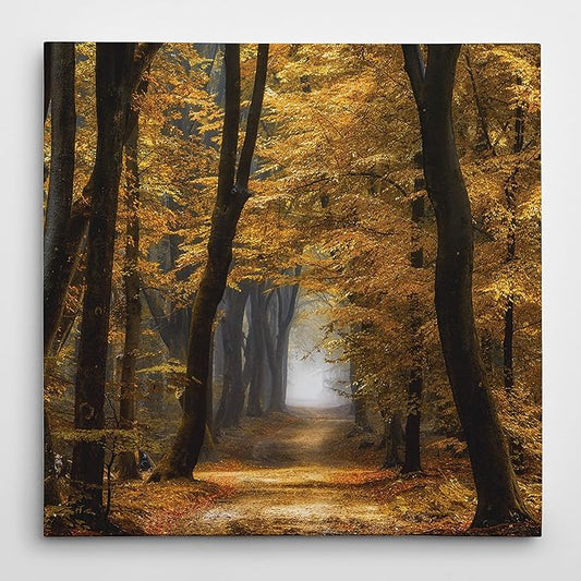 Wexford Home Speuldimensions Gallery Wrapped Canvas Wall Art, 40x40