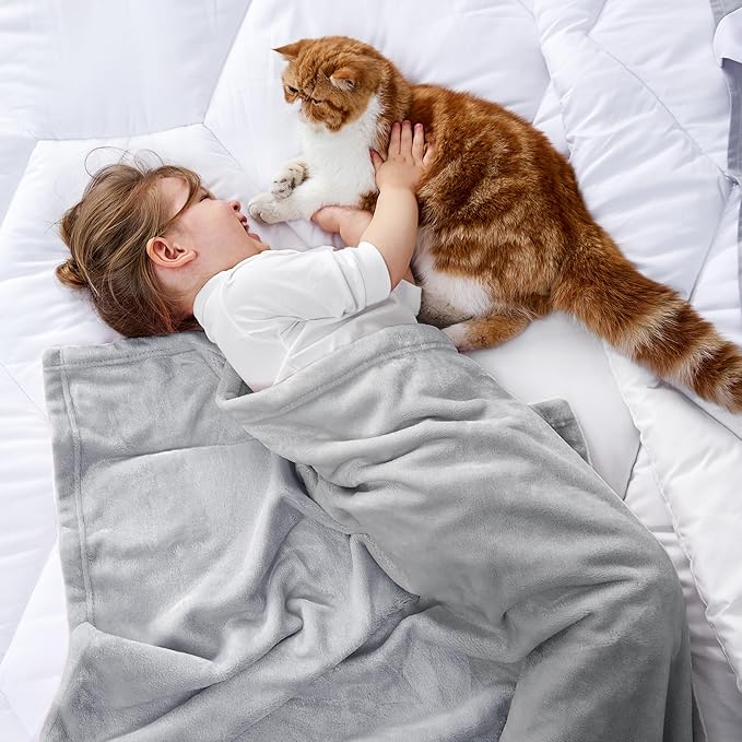 Bedsure GentleSoft Bedding Fleece Blanket for Girls and Boys - Soft Cozy Cute Small Throw Blankets for Travel, 43x55 Inches, Light Grey