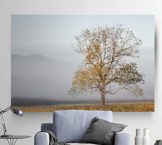 Renditions Gallery Nature Wall Art Pictures & Prints Standalone Tree with Faded Mountain Canvas Hanging Artwork for Bedroom Living Room Office Decorations - 32"X48" LT08
