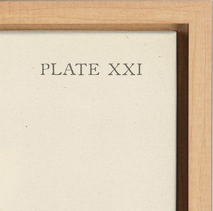 Kate and Laurel Sylvie Ferns 1 and Ferns 2 Set Framed Canvas Wall Art by Corinna Buchholz of Piddix, 2 Piece 18x24 Natural