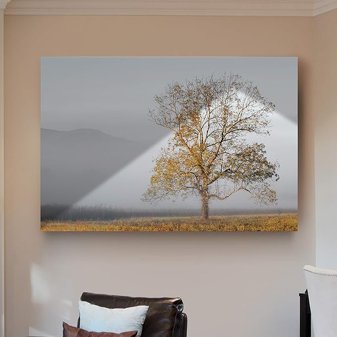 Renditions Gallery Nature Wall Art Pictures & Prints Standalone Tree with Faded Mountain Canvas Hanging Artwork for Bedroom Living Room Office Decorations - 18"X27" LT08