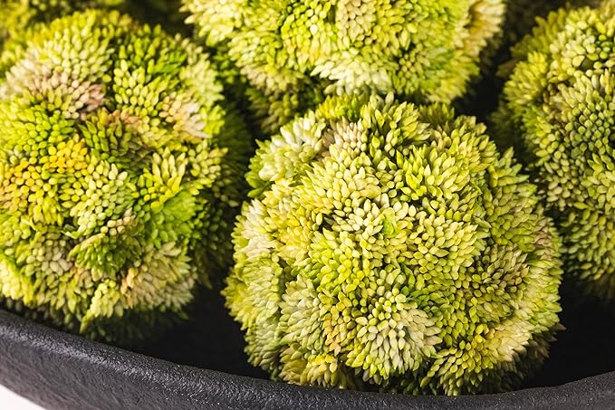 Balls and Pedestal Bowl Set Textured Black Ceramic Decorative Bowl with Succulent Balls for Counter Top, Farmhouse Table Centerpiece, Living Room, Kitchen Decor