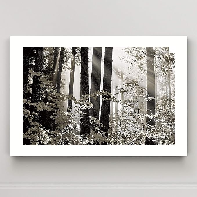 Renditions Gallery Canvas Nature Wall Art Landscape View of Sun Rays coming through Forest Trees Modern Artwork for Living Room Kitchen Walls - 32"X48" LT08