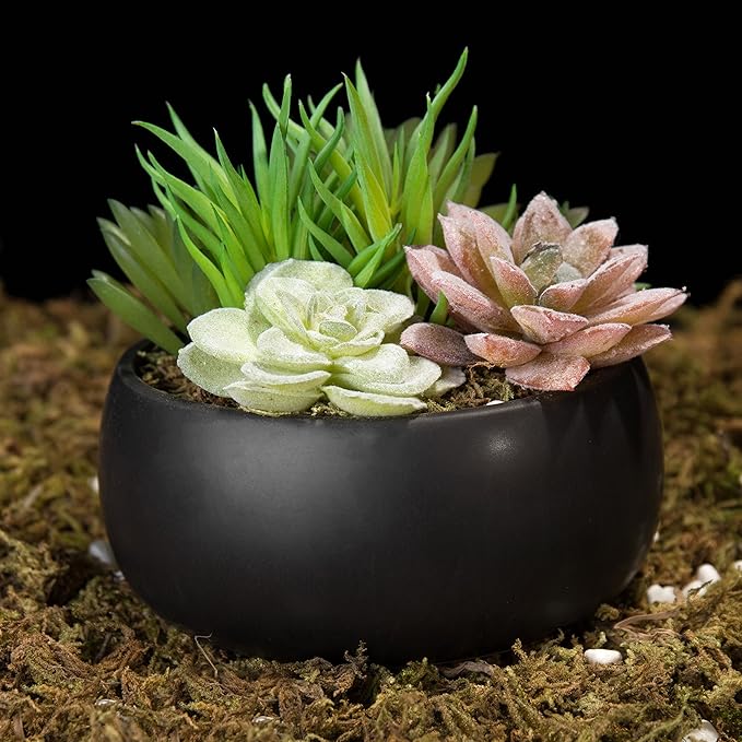 MyGift Mini Artificial Succulent in Pot, Fake Plant Arrangement in Black Ceramic Planter Bowl