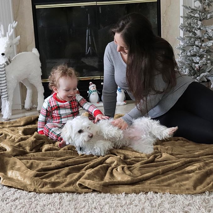 Bedsure GentleSoft Fleece Blankets King Size Camel - Bed Blanket Soft Lightweight Plush Cozy Fuzzy Luxury Microfiber, 108x90 inches