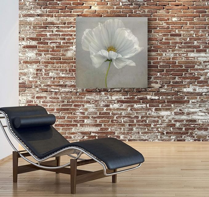 Wexford Home Daisy Detail II Gallery Wrapped Canvas Wall Art, 32x32