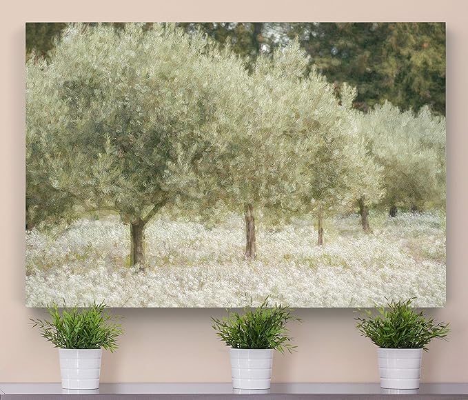 Renditions Gallery Canvas Wall Art Paintings & Prints Paintograph Olive Trees Abstracr Nature Artwork for Living Room Office Wall Decor - 18"X27" LT08