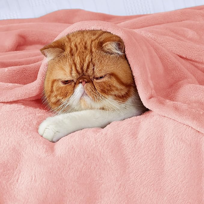 Bedsure GentleSoft Fleece Throw Blanket for Couch Pink - Lightweight Plush Fuzzy Cozy Soft Blankets and Throws for Sofa, 50x60 inches