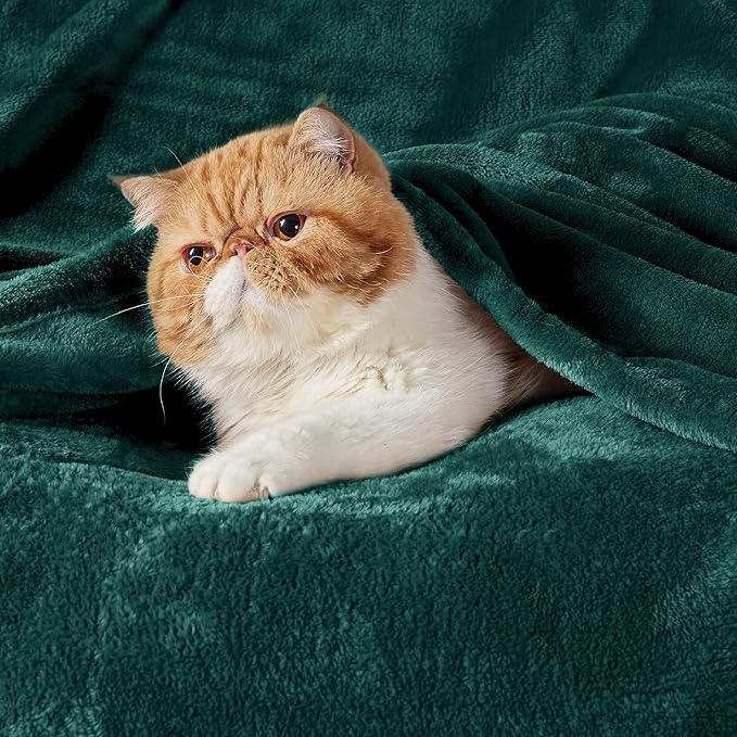 Bedsure GentleSoft Fleece Blanket Twin Size Emerald Green - 300GSM Lightweight Plush Fuzzy Cozy Soft Warm Blanket for Bed, Sofa, Couch, Travel, Camping, 60x80 inches