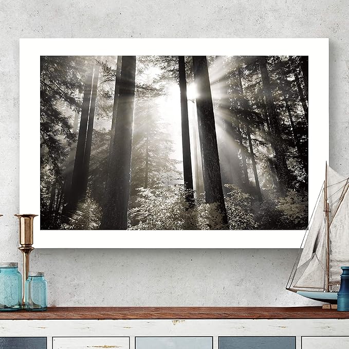 Renditions Gallery Canvas Nature Wall Art Landscape View of Morning Light coming through Forest Trees Modern Artwork for Living Room Kitchen Walls - 32"X48" LT08