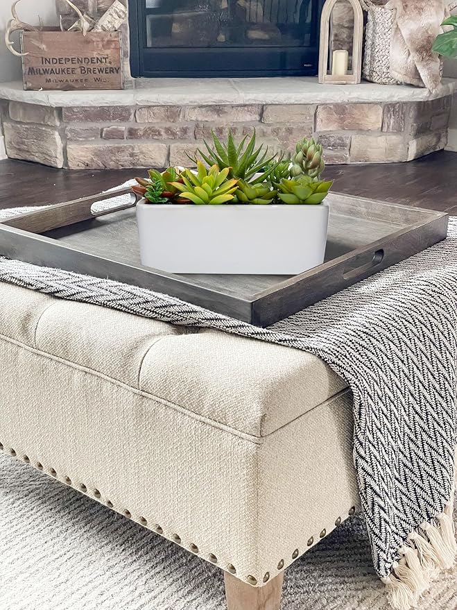 Artificial Succulents Plants in Ceramic Planter Assorted Faux Succulents in Pots Arrangement Fake Succulent Potted Plant for Home Office Desk Bathroom Shelf Living Room Indoor Outdoor Decor - Black