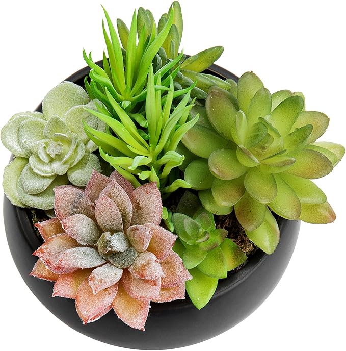MyGift Mini Artificial Succulent in Pot, Fake Plant Arrangement in Black Ceramic Planter Bowl
