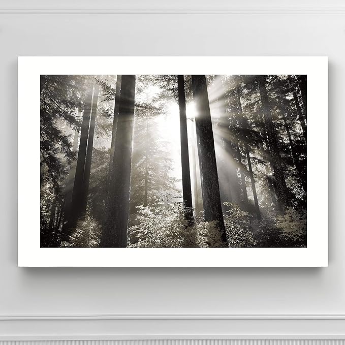 Renditions Gallery Canvas Nature Wall Art Landscape View of Morning Light coming through Forest Trees Modern Artwork for Living Room Kitchen Walls - 12"X18" LT08