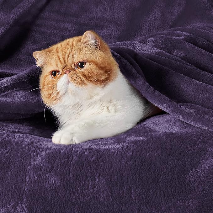 Bedsure GentleSoft Fleece Blanket Twin Size Purple - 300GSM Lightweight Plush Fuzzy Cozy Soft Warm Blanket for Bed, Sofa, Couch, Travel, Camping, 60x80 inches