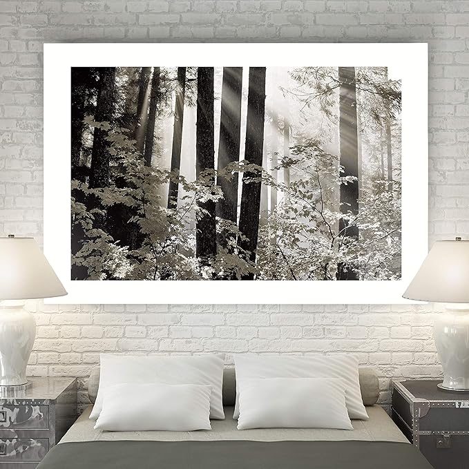 Renditions Gallery Canvas Nature Wall Art Landscape View of Sun Rays coming through Forest Trees Modern Artwork for Living Room Kitchen Walls - 32"X48" LT08