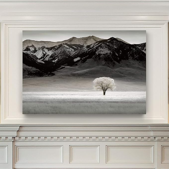 Renditions Gallery Canvas Nature Art Prints for Home Standalone Solitary Tree Black & White Modern Artwork Prints for Bedroom Living Room Office Decor - 32"X48" LT08