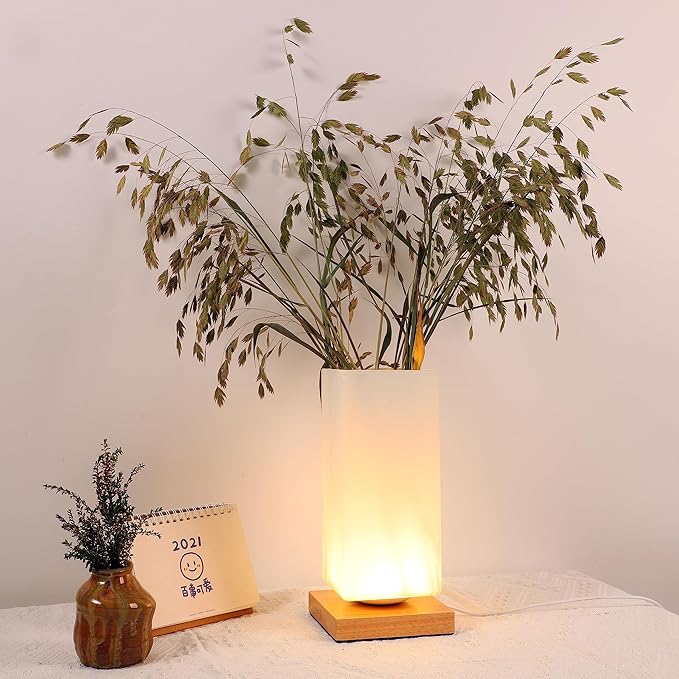 Vase Table Lamp Rechargeable Touch Lamp Dimmable 3 Colors Flower Lamp Bedside Lamp Frosted Glass Shade with Wood Base