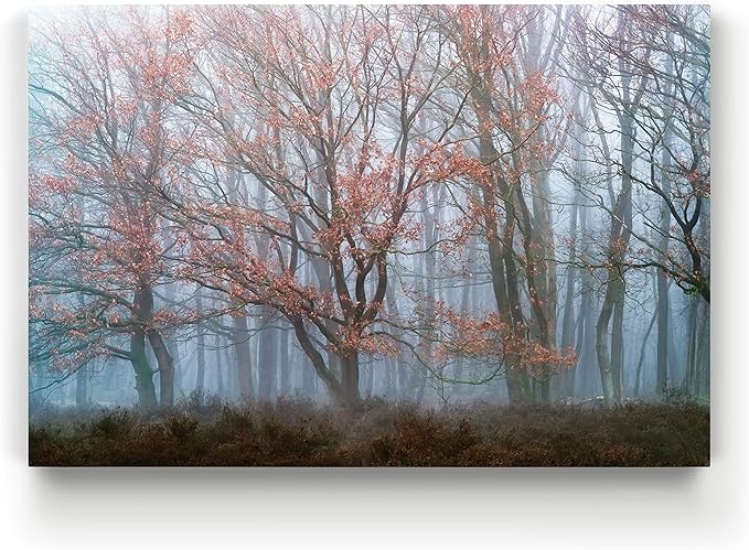 Renditions Gallery Canvas Nature Wall Hanging Art Misty Orange Autumn Trees Forest Modern Artwork for Bedroom Living Room Kitchen Walls - 18"X27" LT08