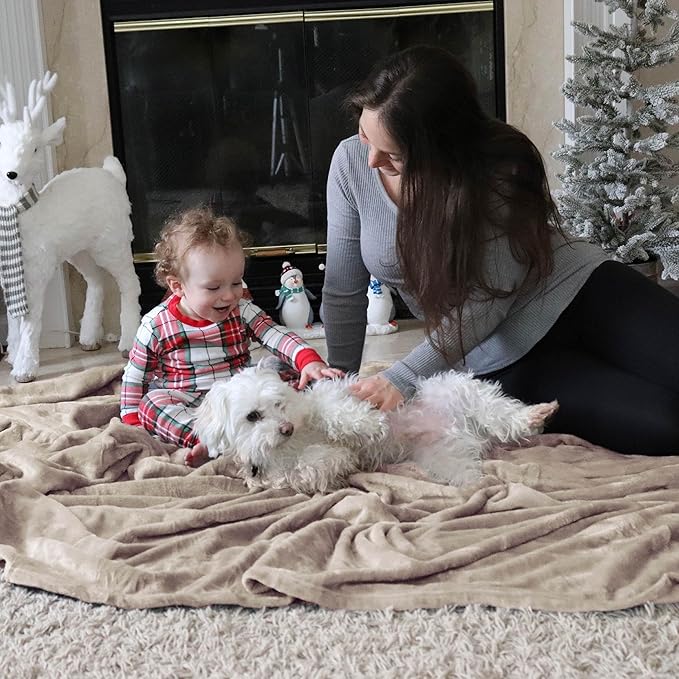 Bedsure GentleSoft Fleece Throw Blanket for Couch Oxford Tan - Lightweight Plush Fuzzy Cozy Soft Blankets and Throws for Sofa, 50x60 inches