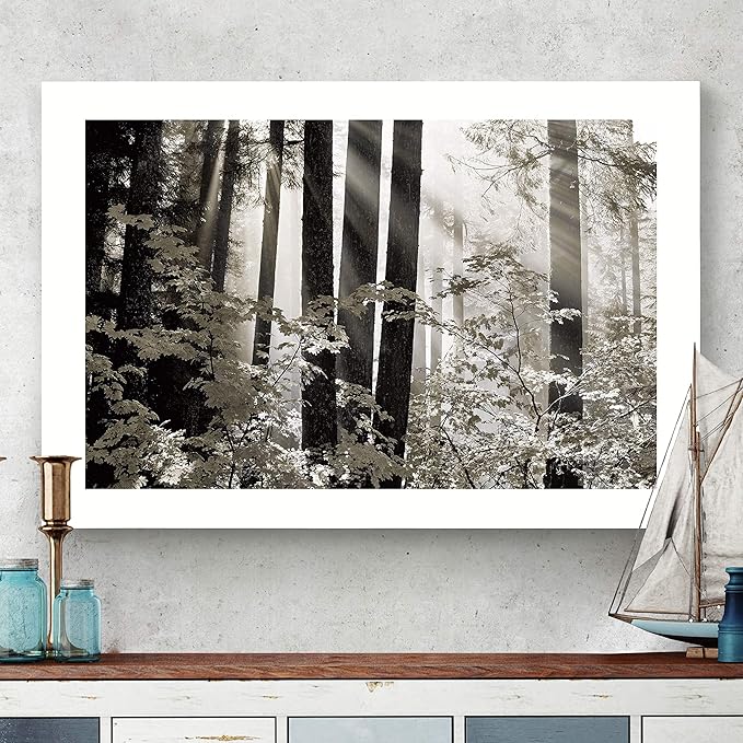 Renditions Gallery Canvas Nature Wall Art Landscape View of Sun Rays coming through Forest Trees Modern Artwork for Living Room Kitchen Walls - 32"X48" LT08