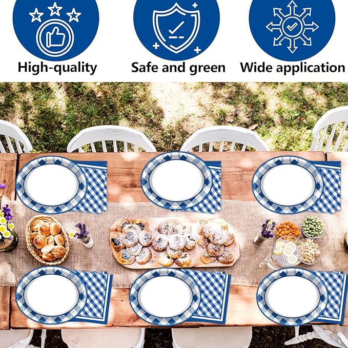 Gingham Oval Paper Plates 11inch Blue and White Checkered Plates and Napkins, Blue and White Plaid Birthday Tableware Outdoor for BBQ Gathering Picnic Blue Boys Theme Party Supplies, 25 Guest