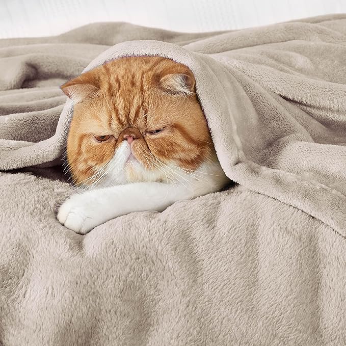 Bedsure GentleSoft Fleece King Size Blankets for Bed Oxford Tan - Soft Lightweight Plush Cozy Fuzzy Luxury Microfiber, 108x90 inches