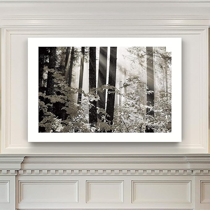 Renditions Gallery Canvas Nature Wall Art Landscape View of Sun Rays coming through Forest Trees Modern Artwork for Living Room Kitchen Walls - 18"X27" LT08