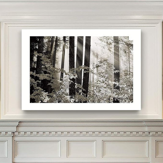 Renditions Gallery Canvas Nature Wall Art Landscape View of Sun Rays coming through Forest Trees Modern Artwork for Living Room Kitchen Walls - 24"X36" LT08