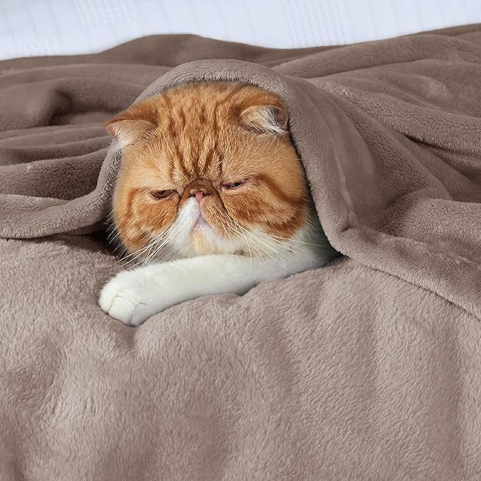 Bedsure GentleSoft Fleece Throw Blanket for Couch Mocha Brown - Lightweight Plush Fuzzy Cozy Soft Blankets and Throws for Sofa, 50x60 inches